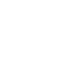 Magnifying glass Icon